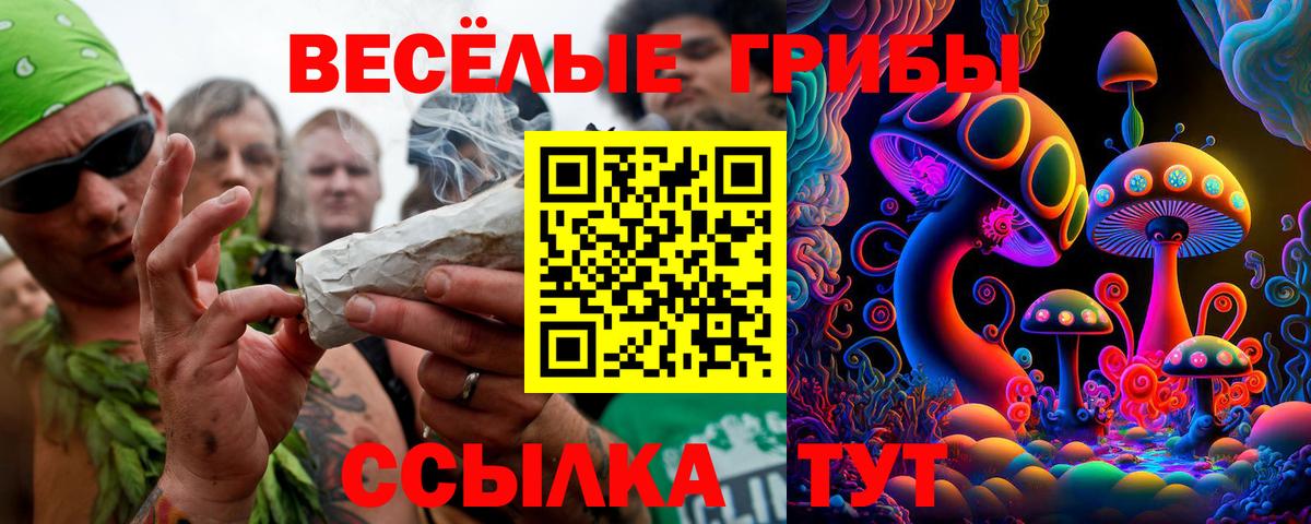 цены   Псилоцибиновые грибы мицелий  Вход с VPN  Шали 